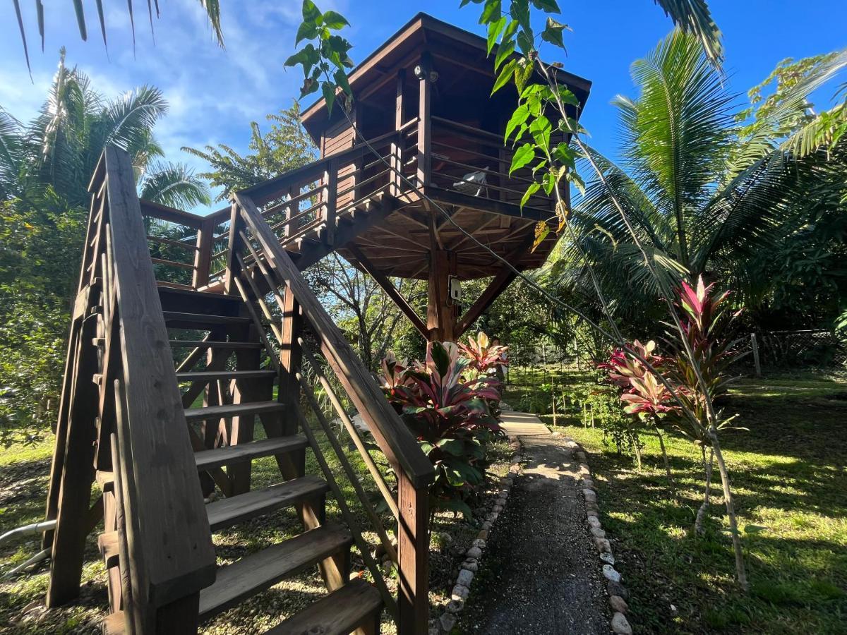 Green Valley Inn Unitedville Εξωτερικό φωτογραφία