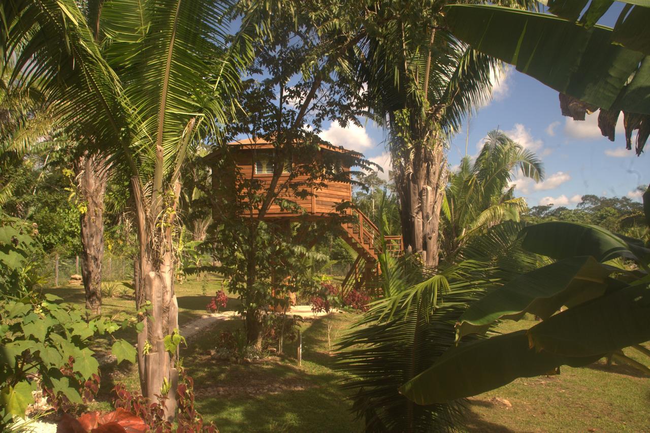 Green Valley Inn Unitedville Εξωτερικό φωτογραφία